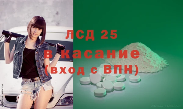 крисы Новодвинск