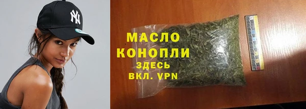гидра Новозыбков