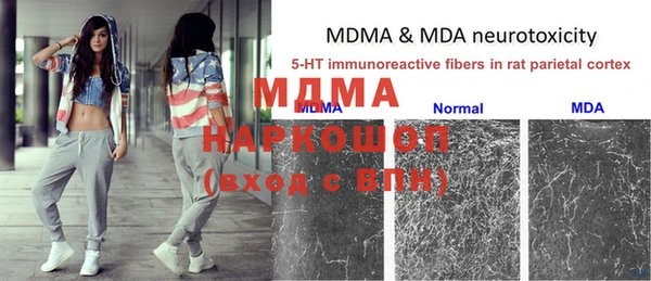 гидра Новозыбков