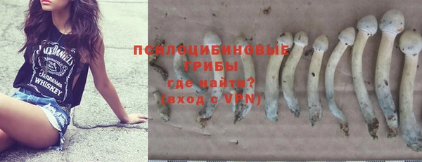 прущая мука Нея