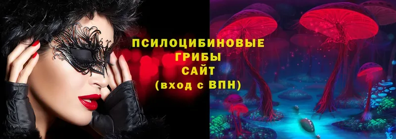 Псилоцибиновые грибы MAGIC MUSHROOMS  Нефтегорск 