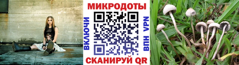 Галлюциногенные грибы мухоморы  Нефтегорск 